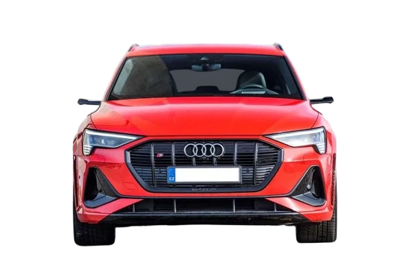 Audi e-tron, 4x4, automat, elektro